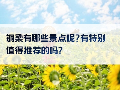 铜梁有哪些景点呢？有特别值得推荐的吗？