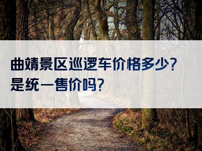 曲靖景区巡逻车价格多少？是统一售价吗？