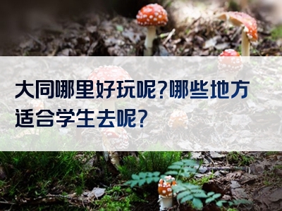 大同哪里好玩呢？哪些地方适合学生去呢？