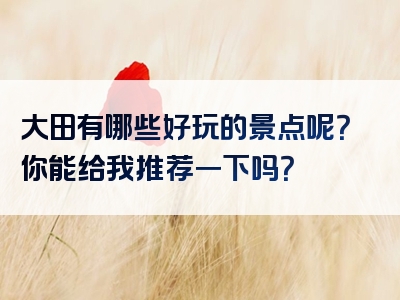 大田有哪些好玩的景点呢？你能给我推荐一下吗？