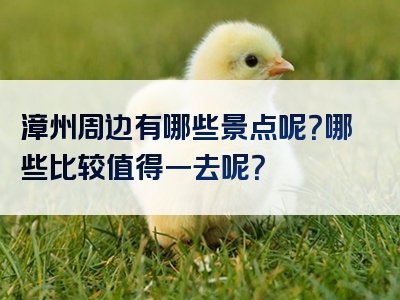 漳州周边有哪些景点呢？哪些比较值得一去呢？