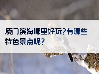 厦门滨海哪里好玩？有哪些特色景点呢？