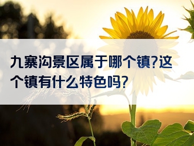 九寨沟景区属于哪个镇？这个镇有什么特色吗？