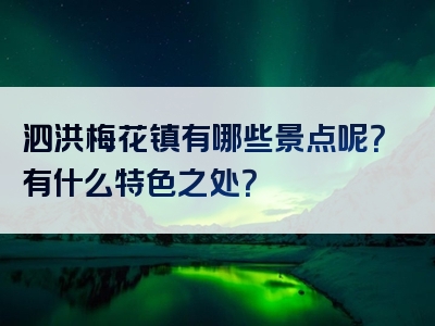 泗洪梅花镇有哪些景点呢？有什么特色之处？