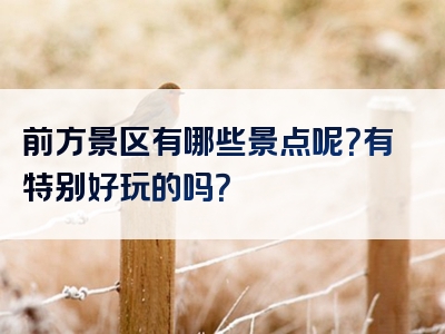 前方景区有哪些景点呢？有特别好玩的吗？