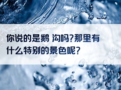 你说的是鹅嫚沟吗？那里有什么特别的景色呢？