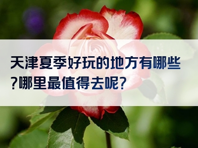 天津夏季好玩的地方有哪些？哪里最值得去呢？