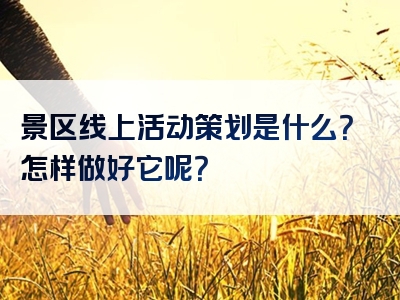 景区线上活动策划是什么？怎样做好它呢？