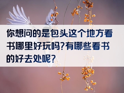 你想问的是包头这个地方看书哪里好玩吗？有哪些看书的好去处呢？