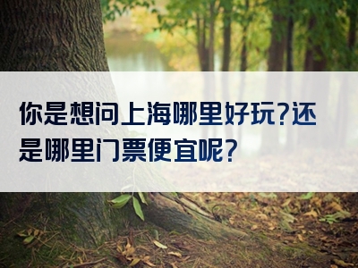 你是想问上海哪里好玩？还是哪里门票便宜呢？