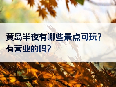 黄岛半夜有哪些景点可玩？有营业的吗？