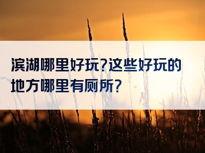 滨湖哪里好玩？这些好玩的地方哪里有厕所？