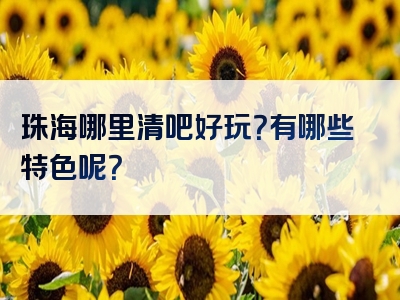 珠海哪里清吧好玩？有哪些特色呢？