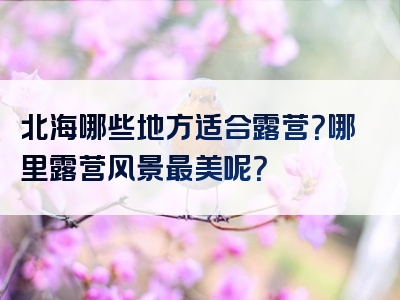 北海哪些地方适合露营？哪里露营风景最美呢？