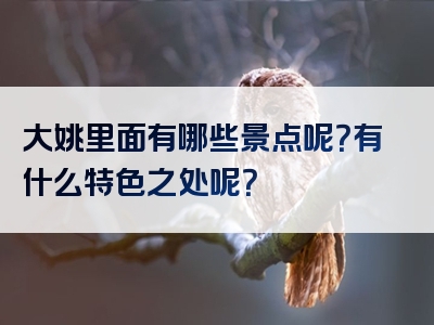 大姚里面有哪些景点呢？有什么特色之处呢？