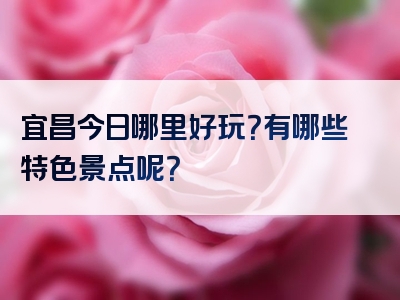 宜昌今日哪里好玩？有哪些特色景点呢？