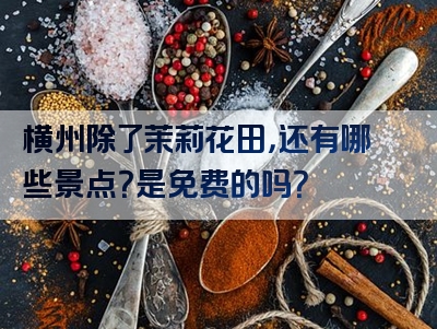 横州除了茉莉花田，还有哪些景点？是免费的吗？