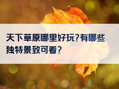 天下草原哪里好玩？有哪些独特景致可看？