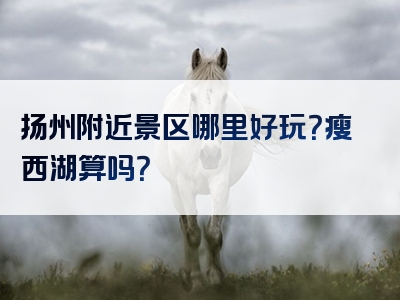 扬州附近景区哪里好玩？瘦西湖算吗？