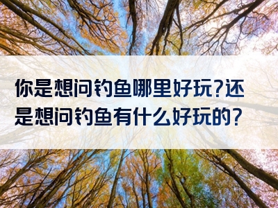 你是想问钓鱼哪里好玩？还是想问钓鱼有什么好玩的？