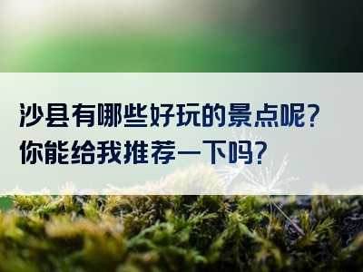 沙县有哪些好玩的景点呢？你能给我推荐一下吗？
