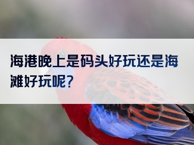 海港晚上是码头好玩还是海滩好玩呢？
