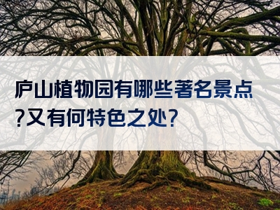 庐山植物园有哪些著名景点？又有何特色之处？