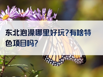 东北泡澡哪里好玩？有啥特色项目吗？