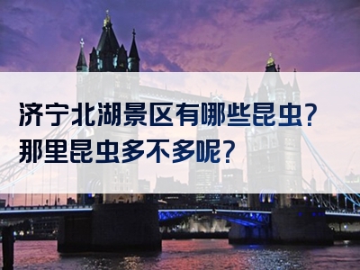 济宁北湖景区有哪些昆虫？那里昆虫多不多呢？