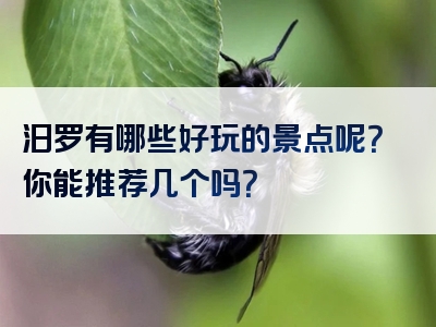 汨罗有哪些好玩的景点呢？你能推荐几个吗？
