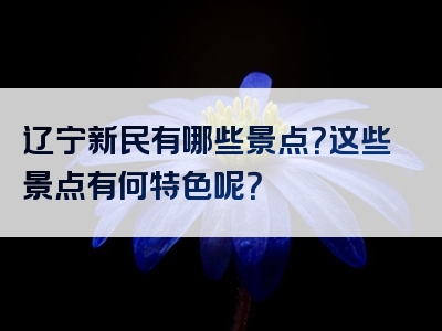 辽宁新民有哪些景点？这些景点有何特色呢？