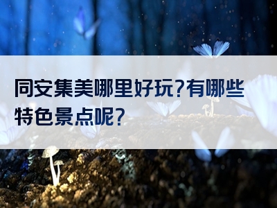 同安集美哪里好玩？有哪些特色景点呢？