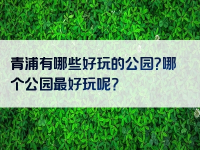 青浦有哪些好玩的公园？哪个公园最好玩呢？