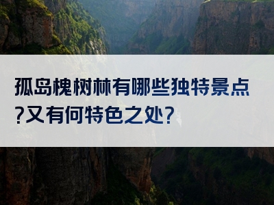 孤岛槐树林有哪些独特景点？又有何特色之处？