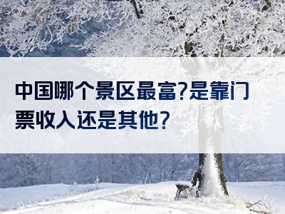 中国哪个景区最富？是靠门票收入还是其他？
