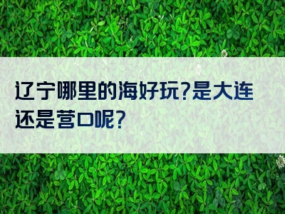 辽宁哪里的海好玩？是大连还是营口呢？
