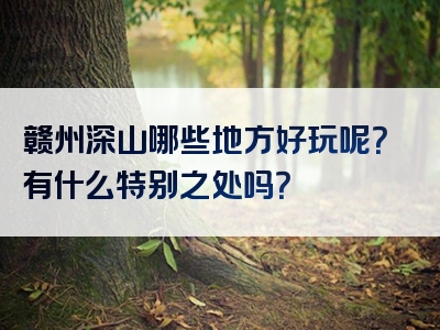 赣州深山哪些地方好玩呢？有什么特别之处吗？