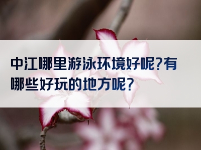 中江哪里游泳环境好呢？有哪些好玩的地方呢？