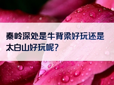 秦岭深处是牛背梁好玩还是太白山好玩呢？