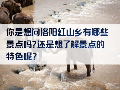你是想问洛阳红山乡有哪些景点吗？还是想了解景点的特色呢？