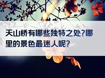 天山桥有哪些独特之处？哪里的景色最迷人呢？