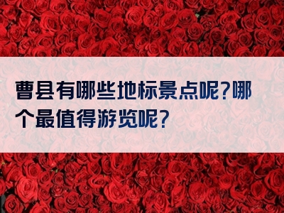 曹县有哪些地标景点呢？哪个最值得游览呢？