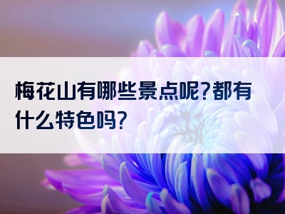 梅花山有哪些景点呢？都有什么特色吗？