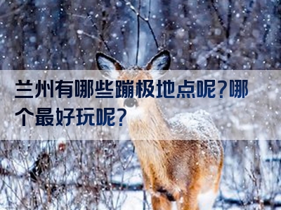 兰州有哪些蹦极地点呢？哪个最好玩呢？