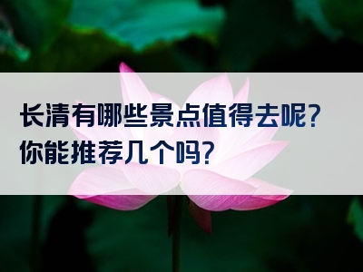 长清有哪些景点值得去呢？你能推荐几个吗？