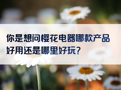 你是想问樱花电器哪款产品好用还是哪里好玩？