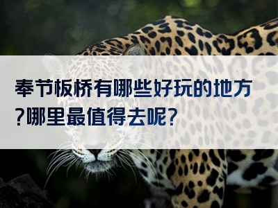 奉节板桥有哪些好玩的地方？哪里最值得去呢？