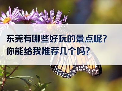 东莞有哪些好玩的景点呢？你能给我推荐几个吗？