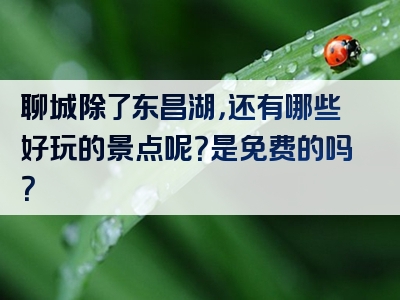 聊城除了东昌湖，还有哪些好玩的景点呢？是免费的吗？