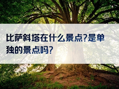 比萨斜塔在什么景点？是单独的景点吗？